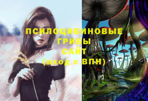 стафф Богородицк